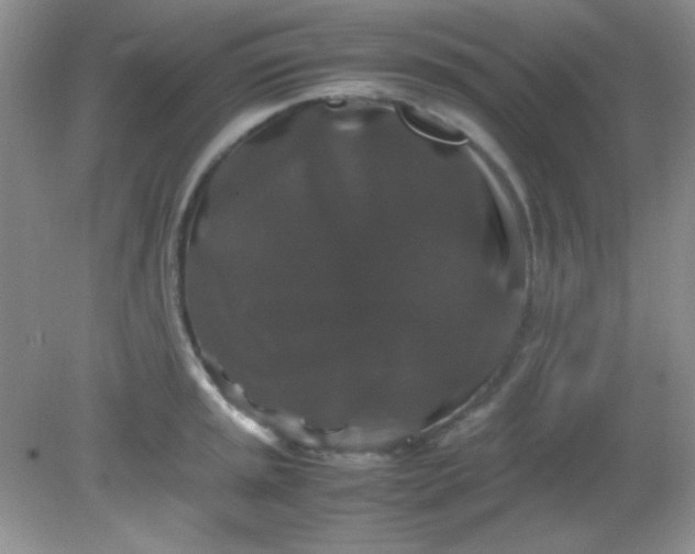 X0000081611045200701291422