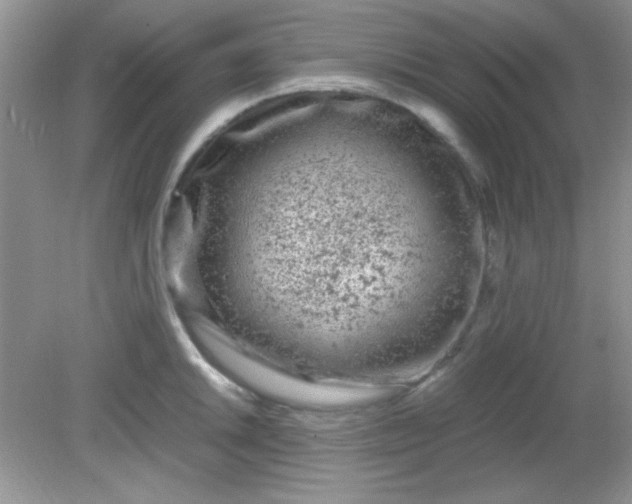 X0000081611046200701291422