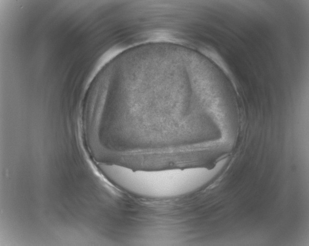 X0000081611048200701291422