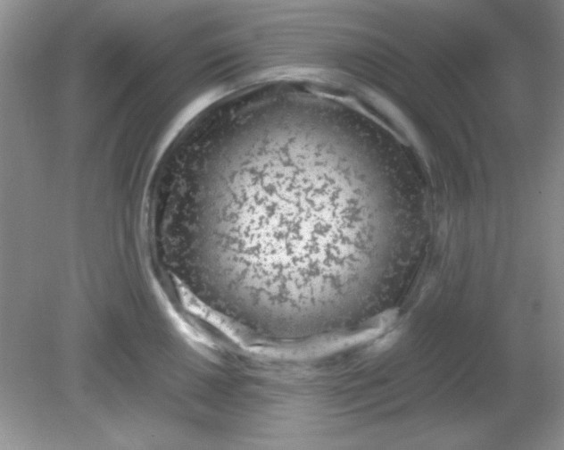 X0000081611050200701291422