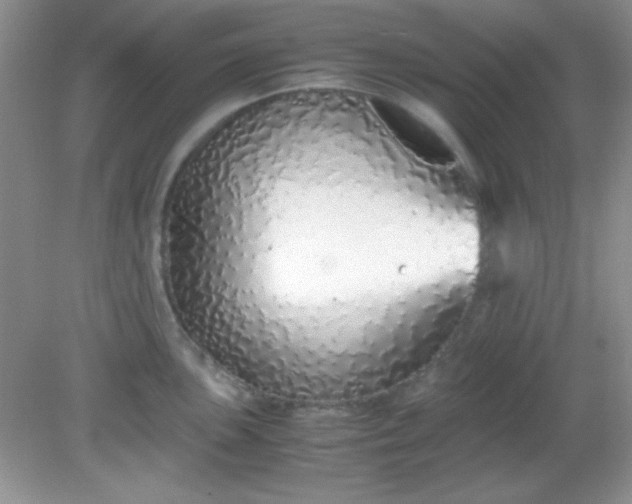 X0000081611051200701291422