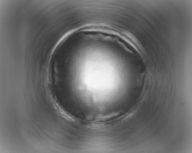 X0000081611052200701291422