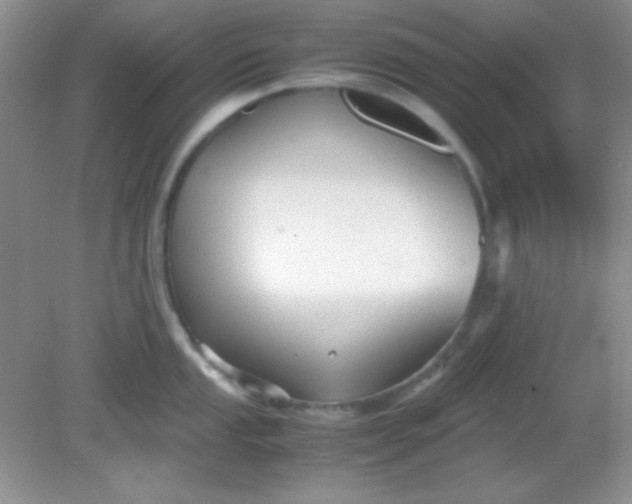 X0000081611053200701291422