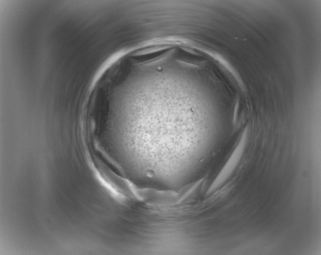 X0000081611054200701291422