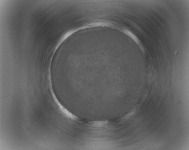 X0000081611055200701291422