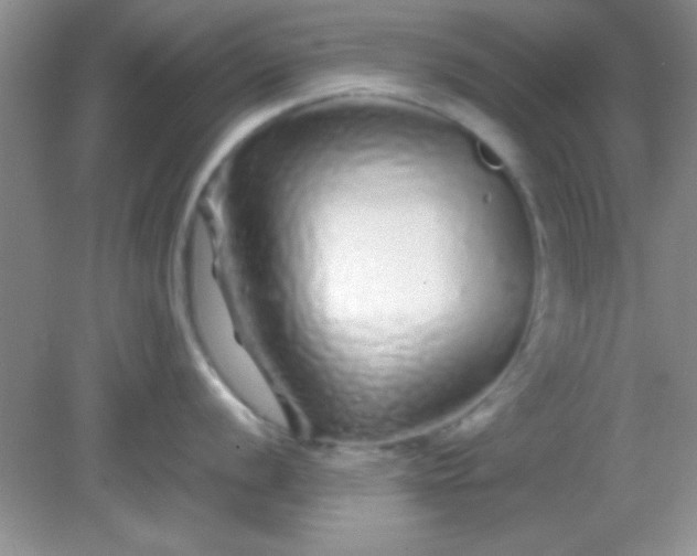 X0000081611056200701291422