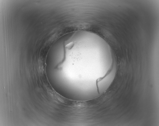 X0000081611058200701291421