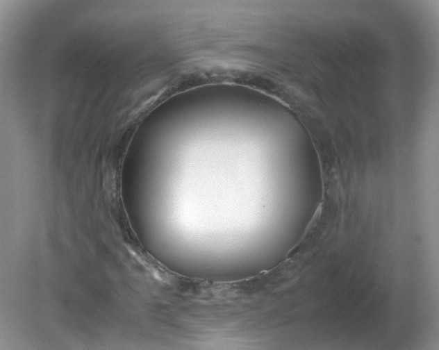 X0000081611061200701291421