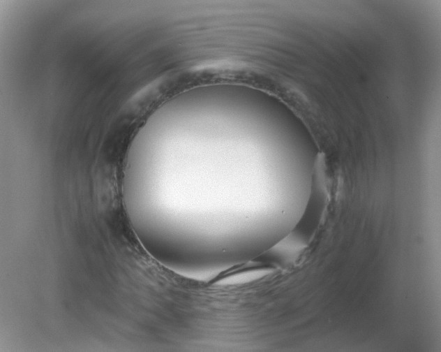 X0000081611062200701291421