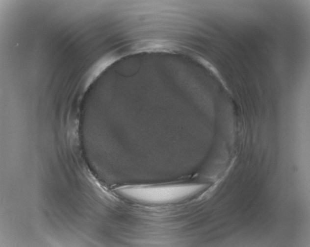 X0000081611066200701291421