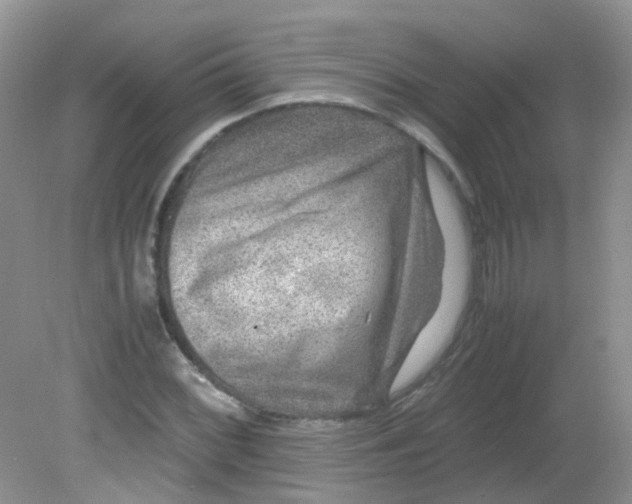 X0000081611068200701291421