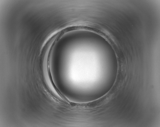 X0000081611069200701291421