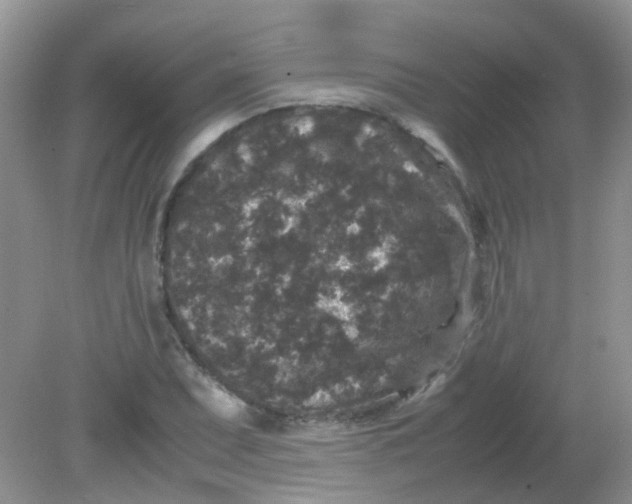 X0000081611071200701291421