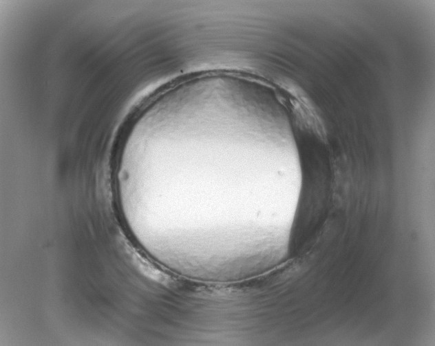 X0000081611072200701291421