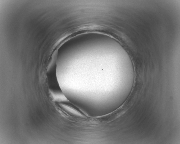 X0000081611073200701291421