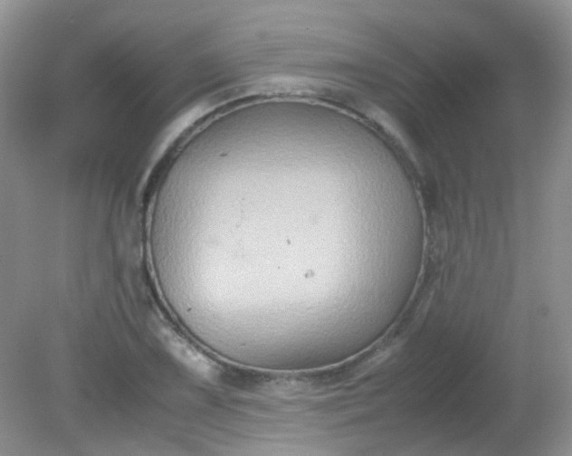 X0000081611075200701291421