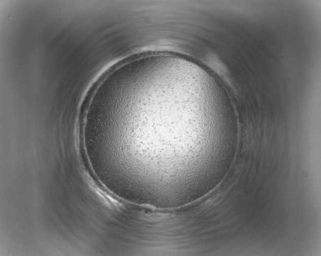 X0000081611076200701291421