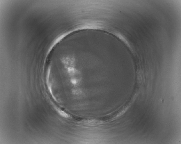 X0000081611077200701291421