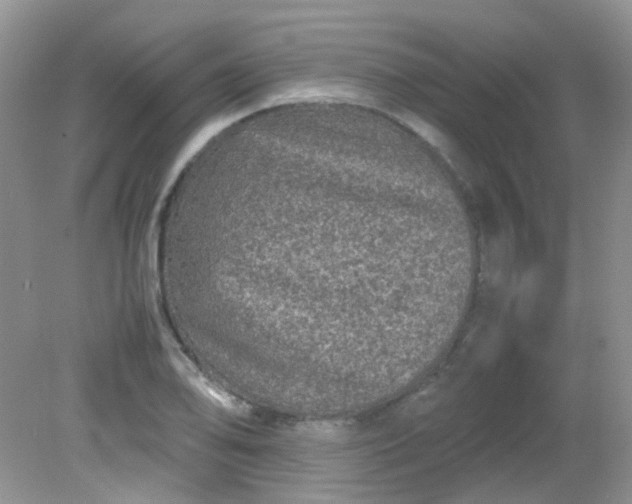 X0000081611078200701291421