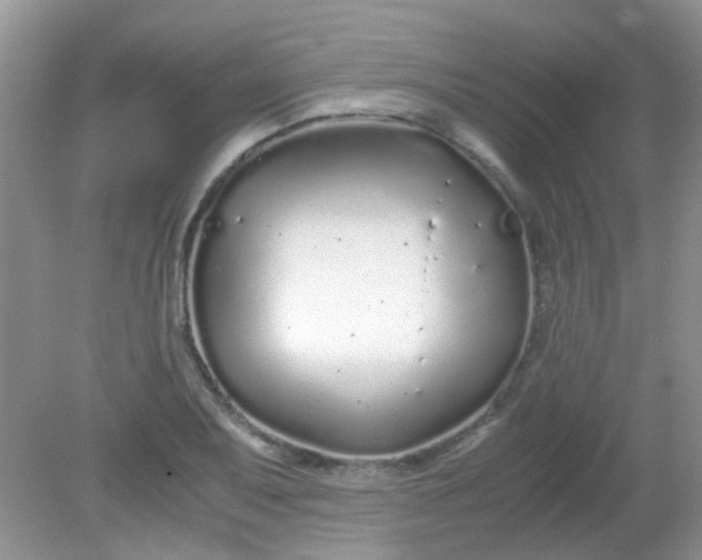 X0000081611079200701291421