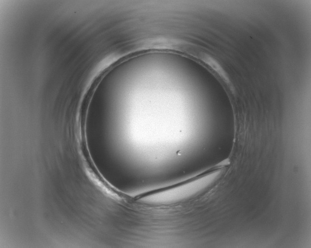 X0000081611080200701291421