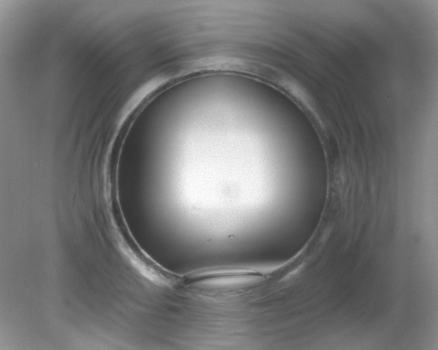 X0000081611082200701291421