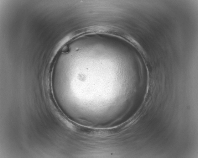 X0000081611083200701291421