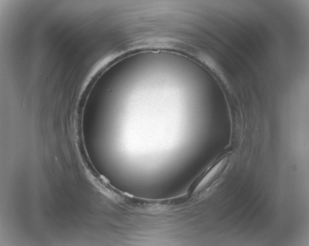 X0000081611085200701291421