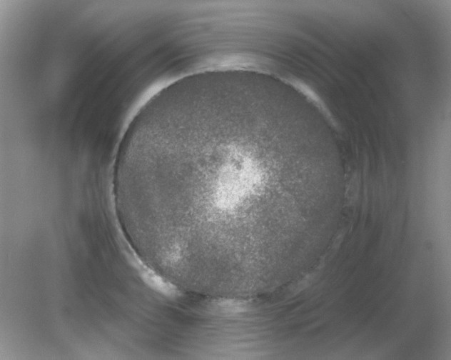 X0000081611086200701291421