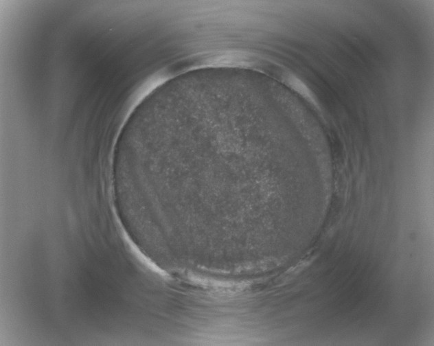 X0000081611087200701291421