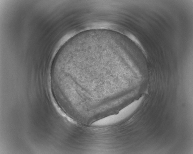 X0000081611088200701291421