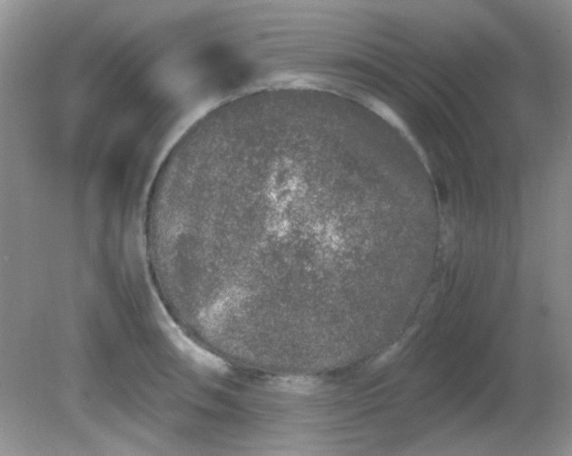 X0000081611090200701291421