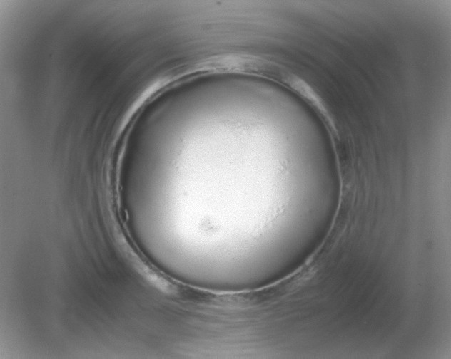 X0000081611091200701291421