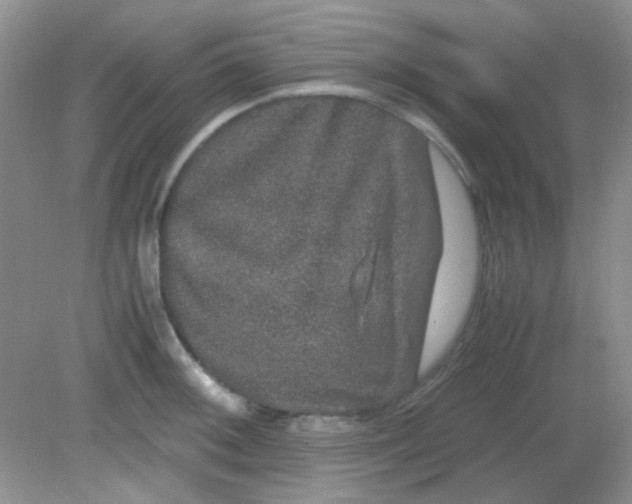 X0000081611092200701291421