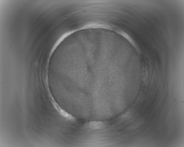 X0000081611094200701291421