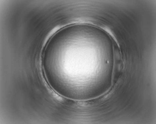 X0000081611096200701291421