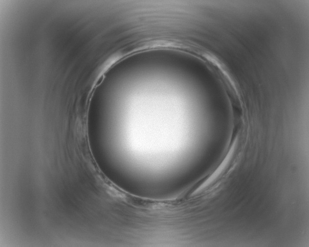 X0000081611097200701291421