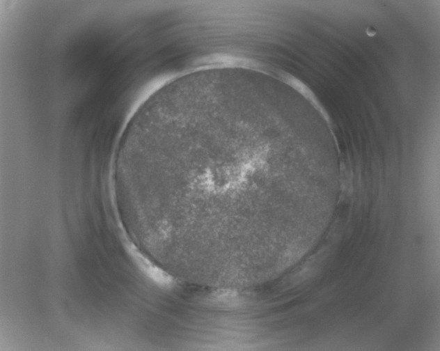 X0000081611098200701291421