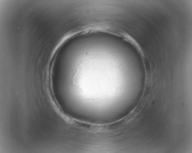 X0000081611099200701291421