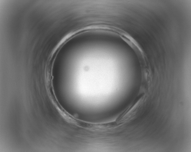 X0000081611101200701291420