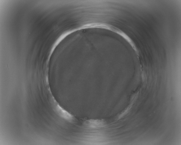 X0000081611102200701291420