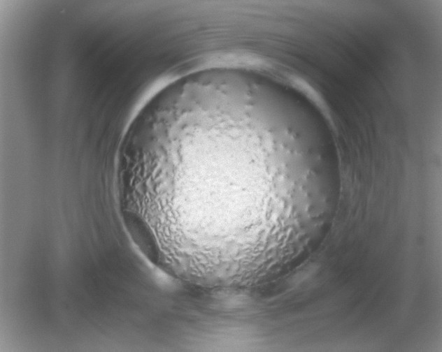 X0000081611103200701291420