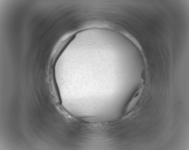 X0000081611104200701291420