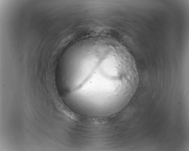 X0000081611105200701291420