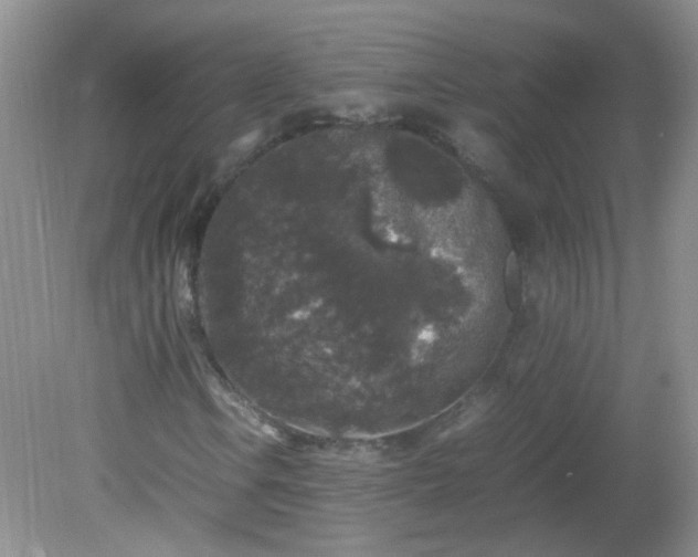 X0000081611106200701291420