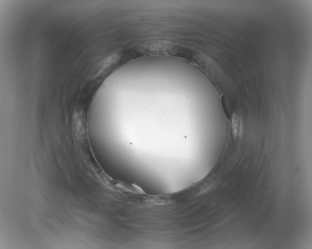 X0000081611107200701291420