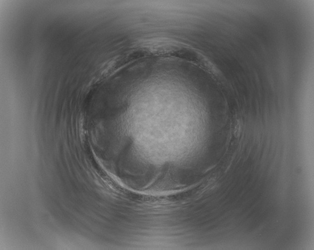 X0000081611108200701291420