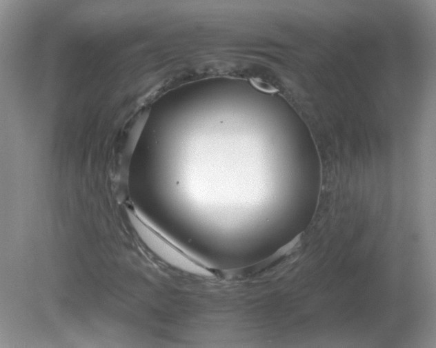 X0000081611109200701291420