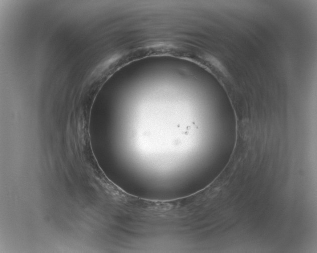 X0000081611111200701291420