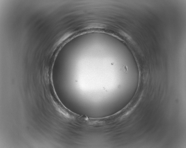 X0000081611113200701291420